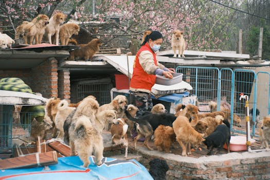 Optimálne Krmivá pre Exotické Zvieratá: Ako Vybrať Správne?