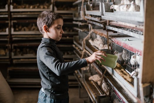 Ekologické Krmivá: Ako Vybrať Zdravé a Udržateľné Jedlo pre Zvieratá